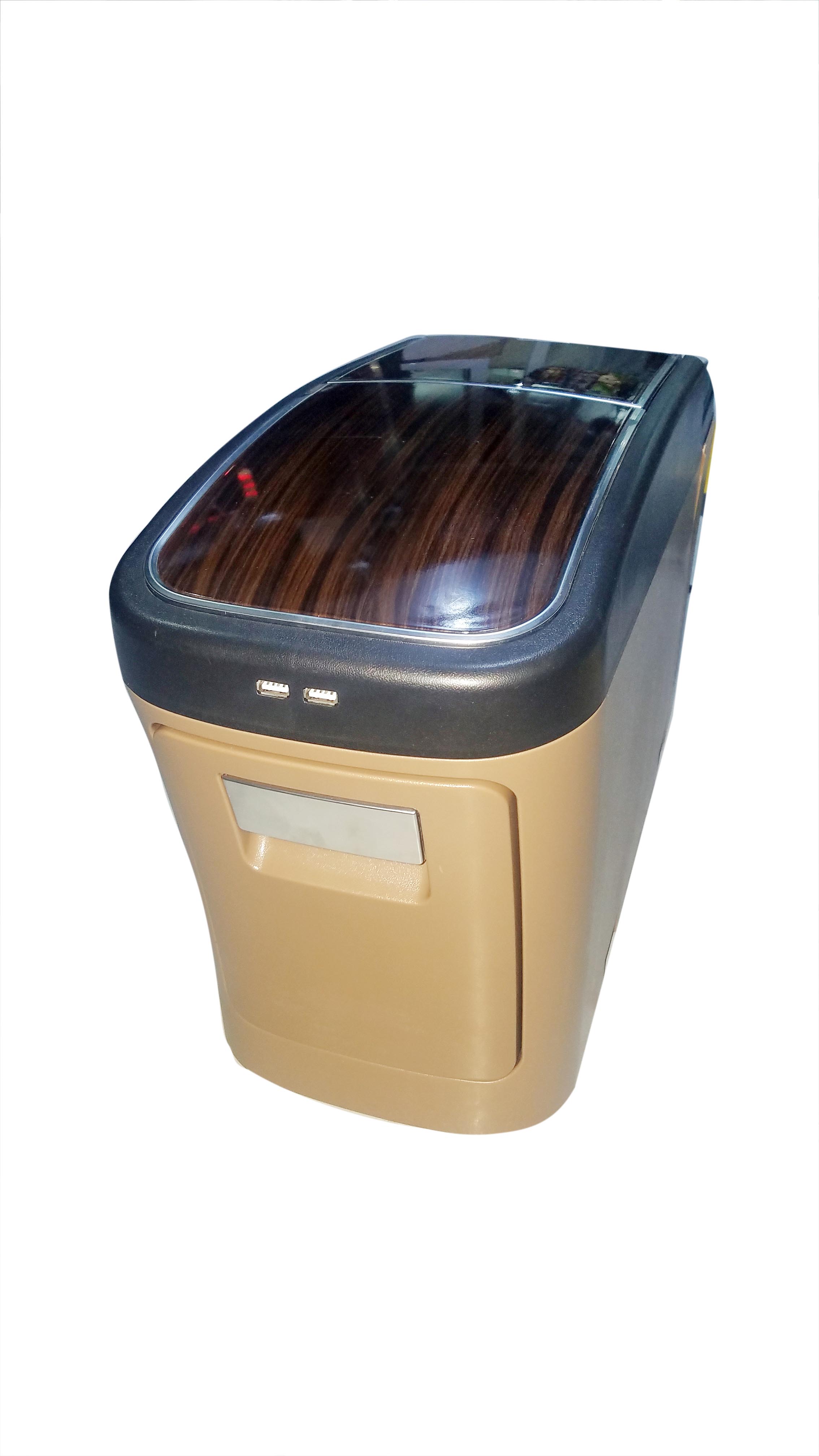 PG11- FRIDGE FOR CAR (VIP)